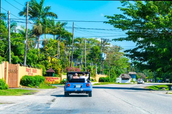 An open-top vehicle cruises down a road lined with palm trees