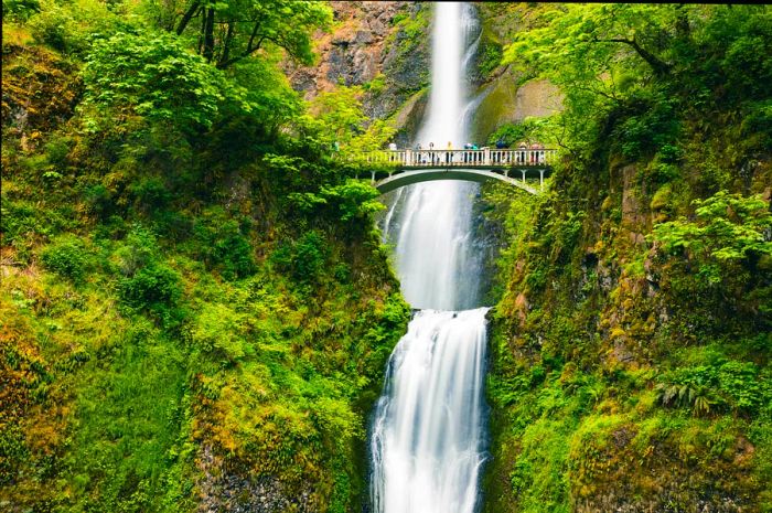 A group of people stands on a bridge overlooking a magnificent waterfall cascading down before them.