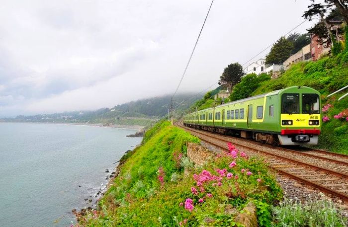 A train navigates a picturesque route along the coast.