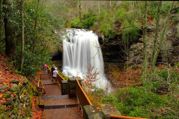 Onlookers admire a waterfall from a scenic woodland path