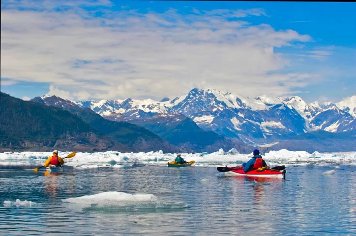 Kayakers navigating a bay amidst icebergs