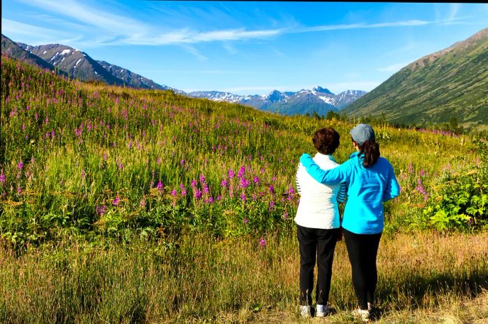 Two women hikers admiring the landscape in Denali National Park, Alaska