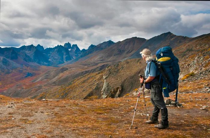 A male hiker traversing the Grizzly Lake Trail in Tombstone Territorial Park, Yukon, Canada