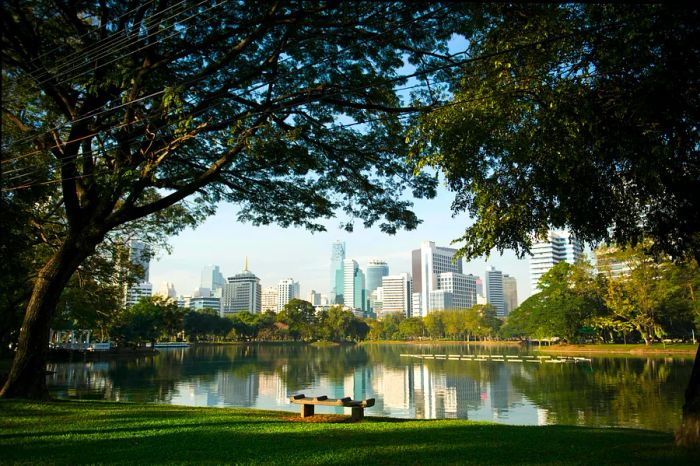 A bench situated beside a lake in a park area, surrounded by high-rise buildings from the business district.