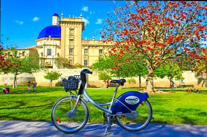 Free city bicycle rentals in Valencia