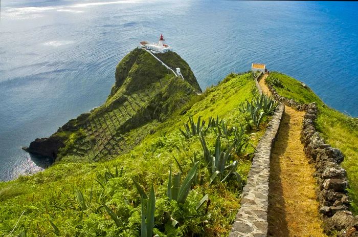 A winding path descends through a verdant hillside, leading to a shining white lighthouse complex perched atop a cliff overlooking the ocean.