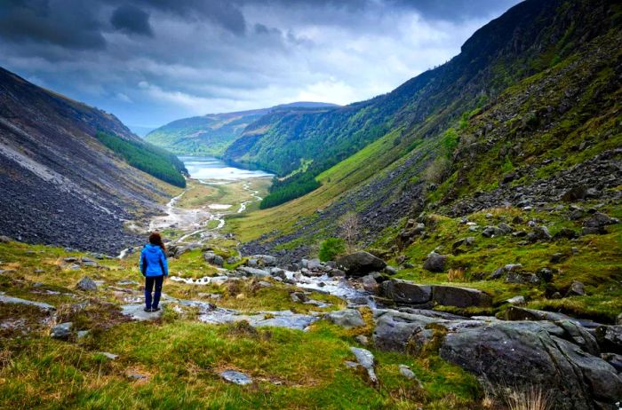 A person dressed in a blue coat gazes at the stunning Glendalough, a valley sculpted by glacial forces.