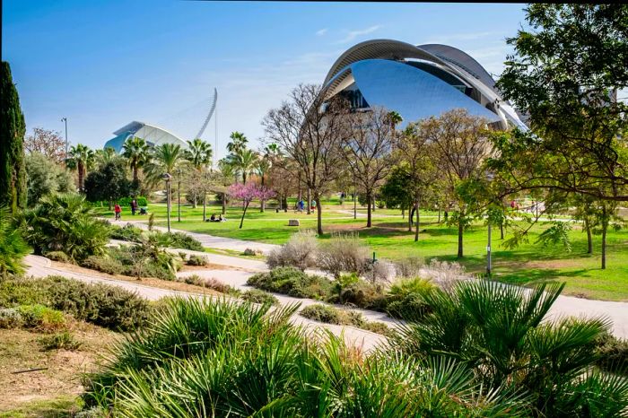 The Jardí del Túria (Túria Gardens) features bike paths, walking trails, sports facilities, and a stunning backdrop of the futuristic City of Arts and Sciences.