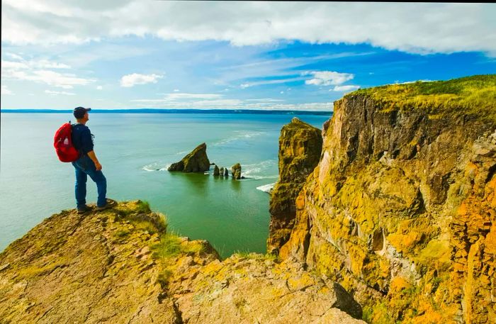 A hiker gazes out over the Bay of Fundy from Cape Split, Nova Scotia, Canada