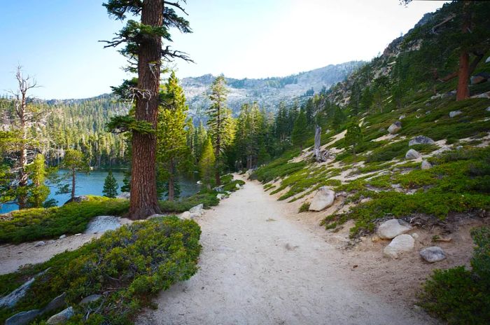 A forested hiking path descends toward a tranquil lake