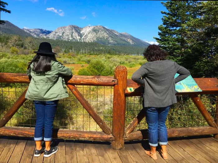 Two individuals admire the view from a vantage point overlooking a river nestled in the woods