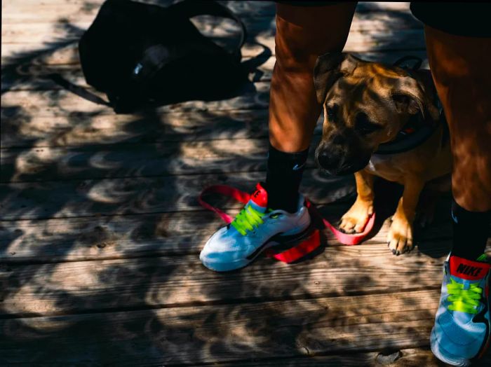 Crescent shadows play across a man and his dog