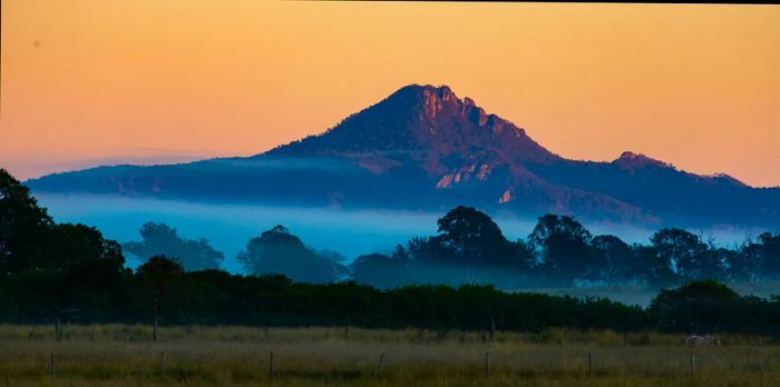 A stunning sunrise photo captures Mount Barney rising above the mist