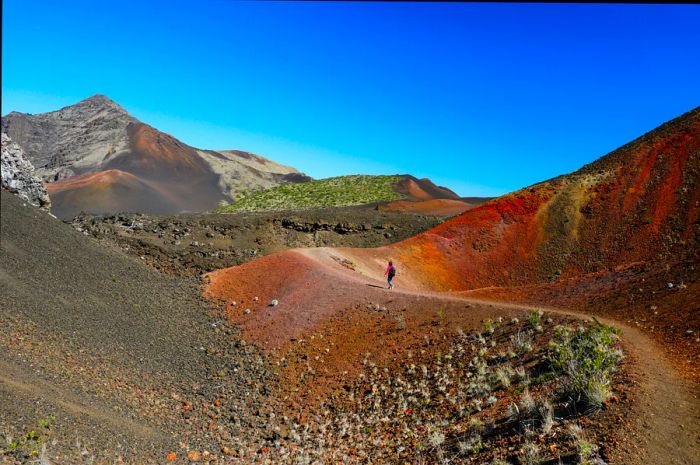 A person is seen walking through the vibrant landscape of Haleakala National Park, Hawaii