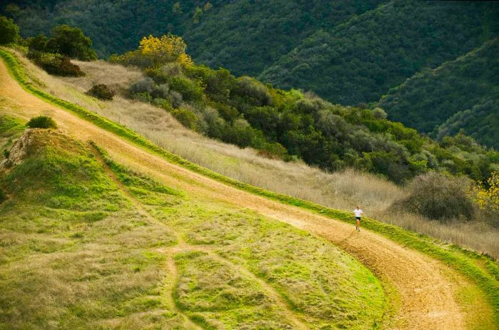 A runner makes their way along the lush, hilly section of the Cistern Trail in Malibu.