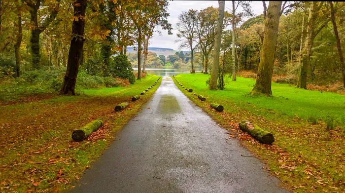 The beautifully landscaped grounds of Castle Kennedy Gardens.