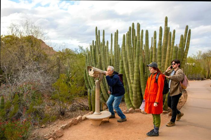 Visitors explore a viewfinder surrounded by cacti at the Desert Botanical Garden in Phoenix, Arizona, USA