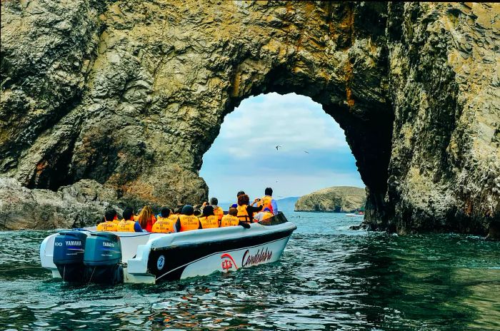 People wearing safety vests are seen enjoying a boat tour around an island.