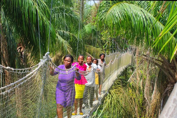 Women traversing a rope bridge in the canopy reserve at Lekki Conservation Foundation, Lagos, Nigeria