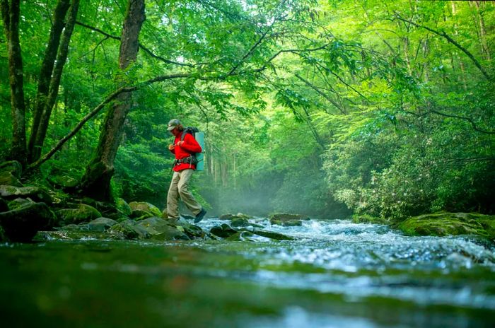 A woman traverses a stream in a forested area