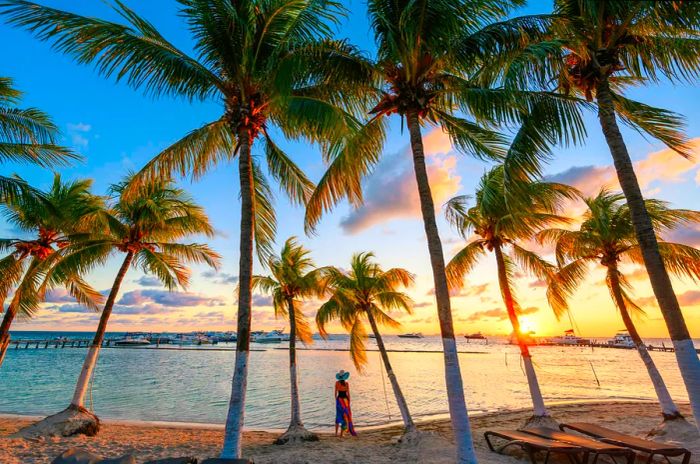 A view of palm trees and sunsets on Isla Mujeres, Quintana Roo, Mexico, with a woman enjoying the sunset.