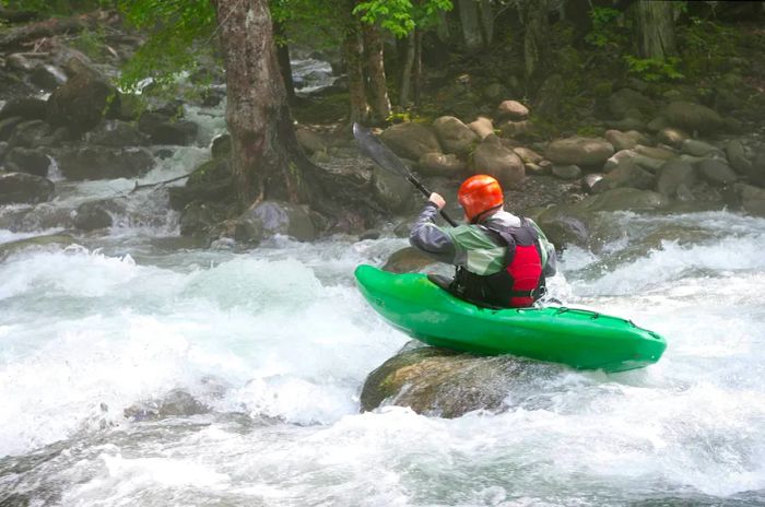 A kayaker poised on a rock is ready to navigate the whitewater rapids of a fast-flowing creek.