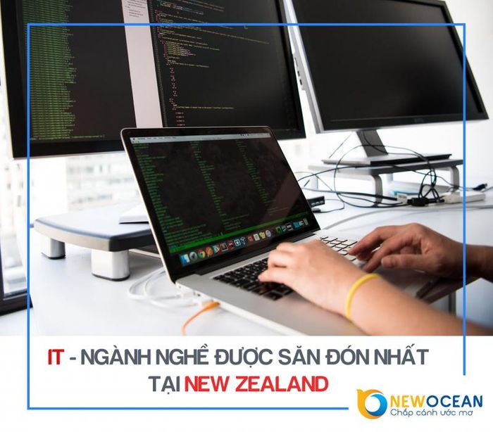 Hình ảnh Công ty tư vấn du học New Ocean lần 1