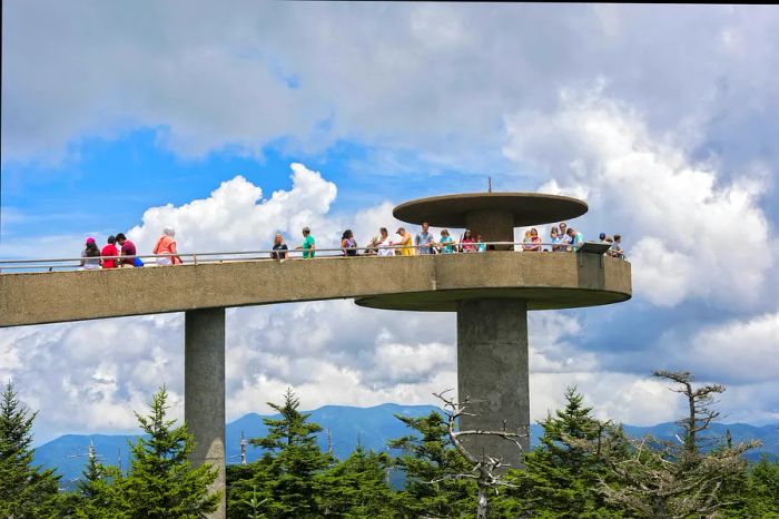 A broad concrete pathway leads to an observation tower that rises above the treetops in a national park.