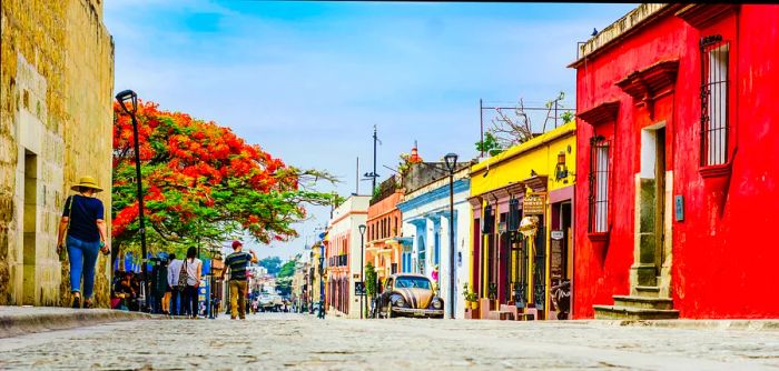 A vibrant street scene where people stroll down a sidewalk shaded by a large tree adorned with orange flowers. The houses on the right are painted in bright colors.