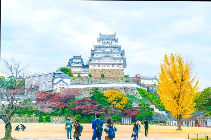 Himeji-jo (Himeji Castle) in Early Spring, Himeji, Japan