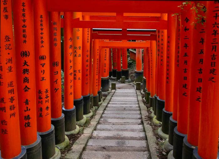 A series of vibrant red gates at Fushimi Inari forming a stunning, tunnel-like pathway