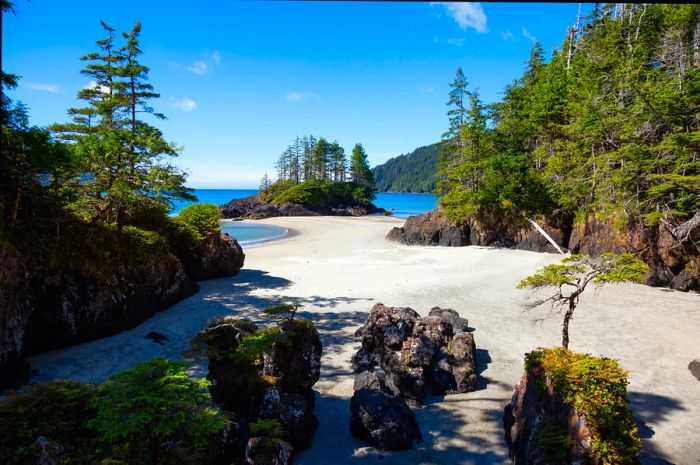 A beach nestled among rocks and pine trees