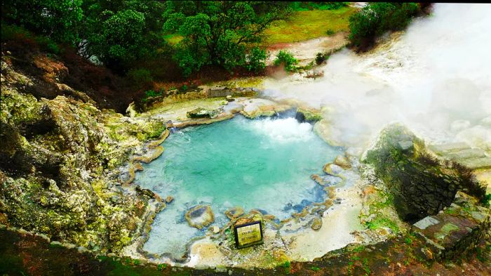 A steaming hot spring surrounded by lush greenery.