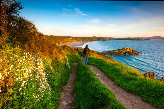 A hiker strolls along a rugged Welsh coastline.