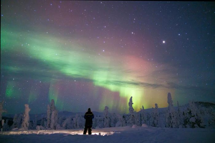 FairbanksNorthernLights.jpg