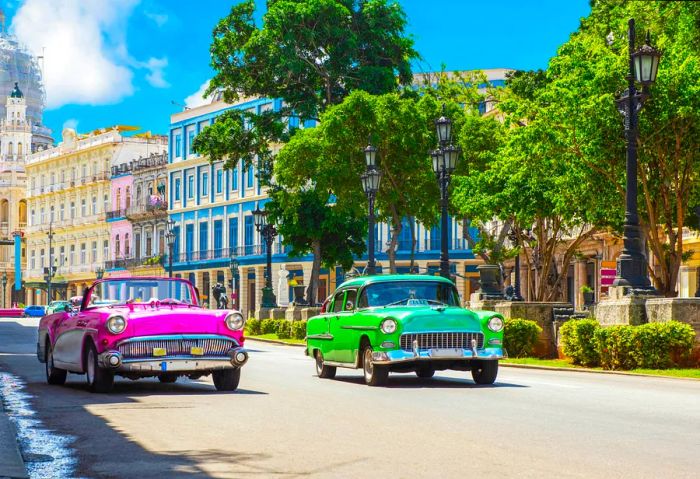 City view featuring vintage American cars from the 1950s in shades of pink and green along Paseo Jose Marti in Havana, Cuba