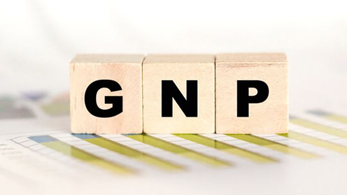 GNP có thể tính gộp thu nhập từ công dân có hai quốc tịch