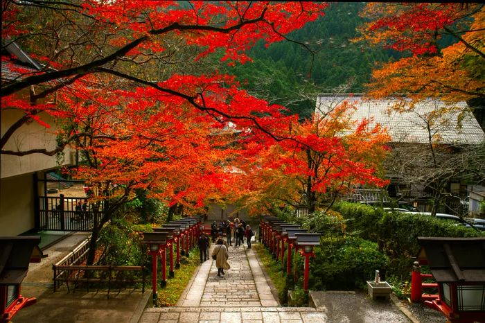 Visitors ascend the steps at Kurama-dera temple during autumn in Kyoto, Japan