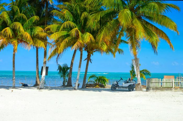 A small white golf cart sits beneath palm trees on a stunning beach with a turquoise ocean in the background.