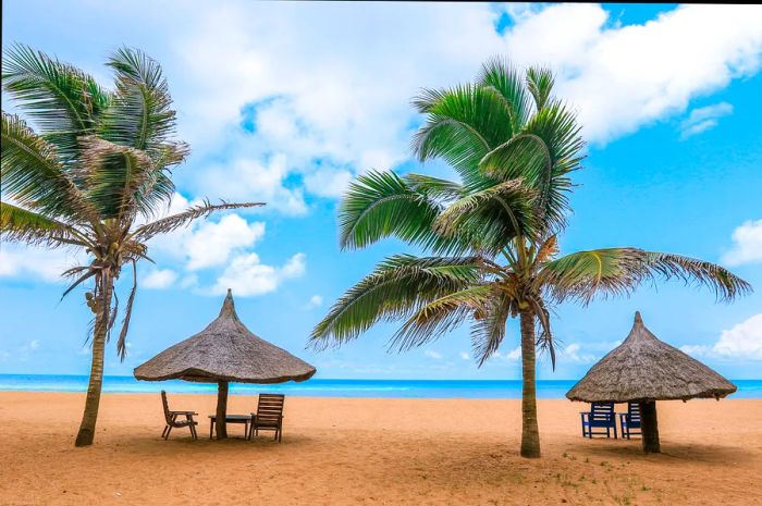 Palm trees lining a sandy beach at Grand Popo, Benin