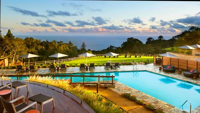 An artistically designed swimming pool surrounded by stylish lounge furniture, with trees framing the view of the Pacific Ocean beyond.