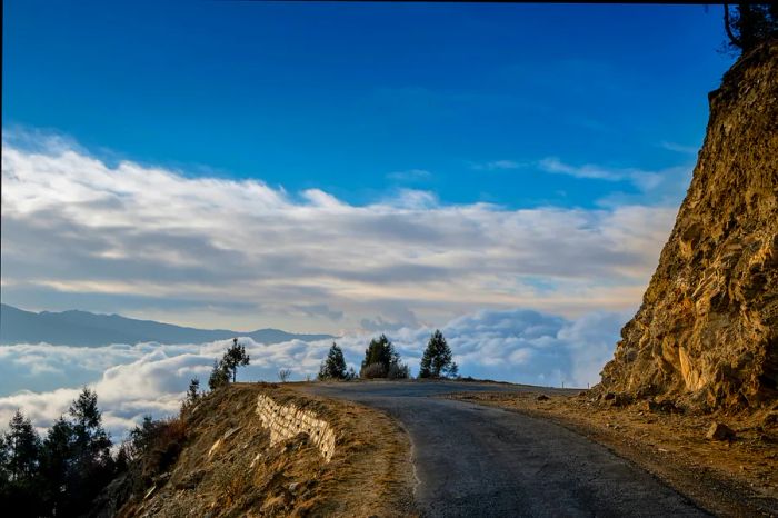 Clouds drifting in a valley beneath a mountain road, Bhutan