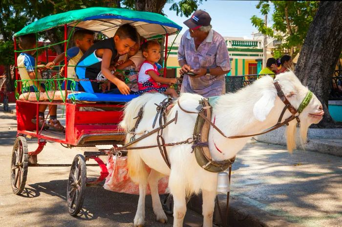 Children enjoying a goat ride in Parque Cespedes, Bayamo, Cuba