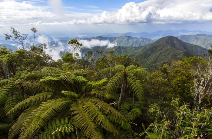 The breathtaking view from Pico Turquino, Granma Province, Cuba