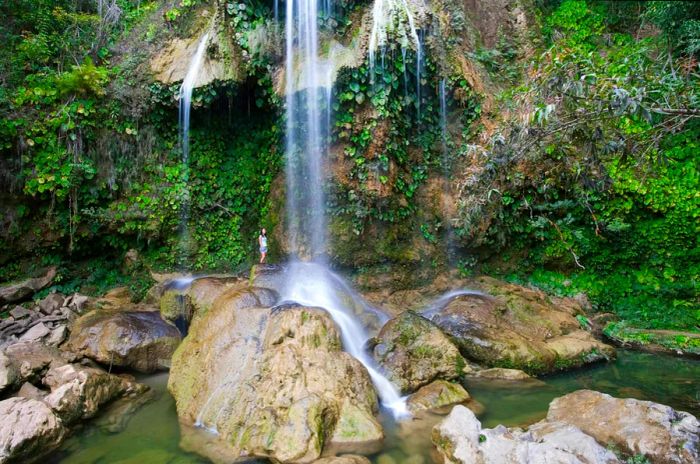 A woman stands beside a waterfall in a lush green setting