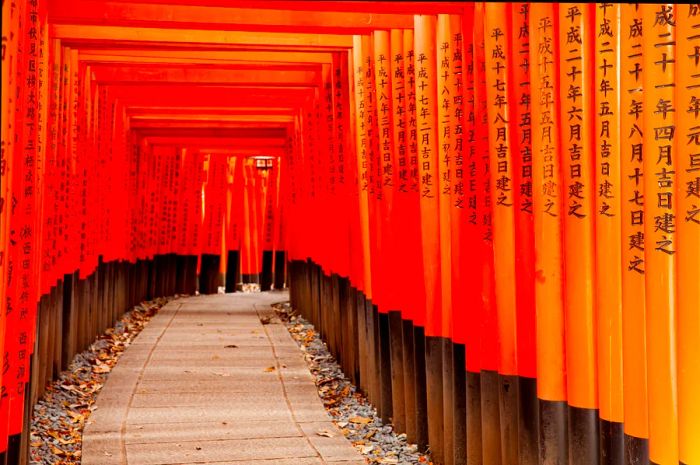 A glimpse of some of the vibrant vermilion torii gates at Fushimi Inari-Taisha, Kyoto, Japan.