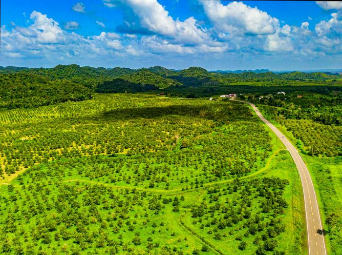 A highway winds through a gently undulating landscape of lush green hills and open fields.