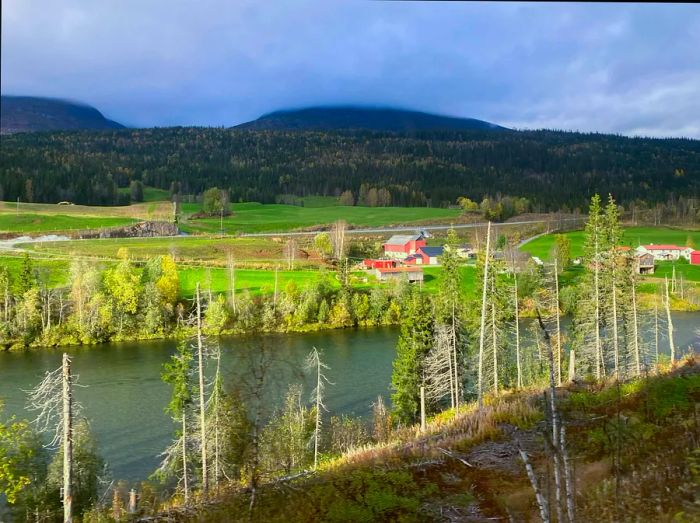 Lush green homes and vibrant cabins pepper the countryside of Bodø.