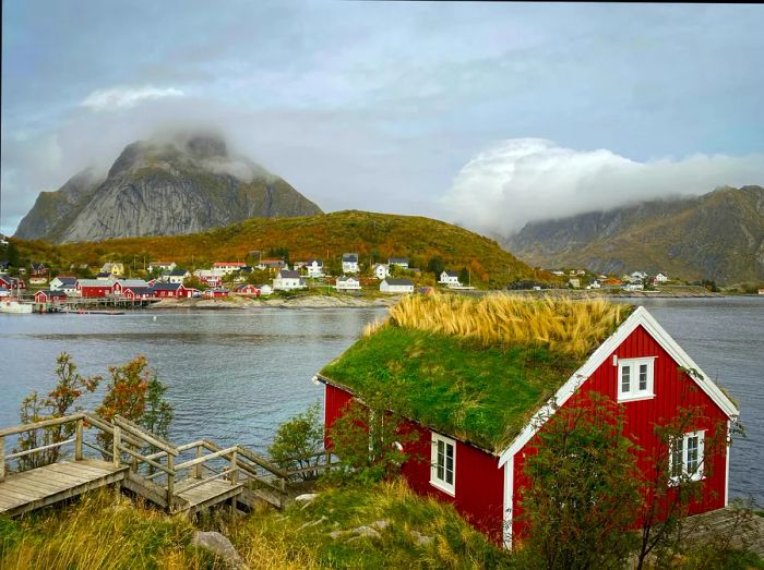 Cottages with traditional turf roofs in the Lofoten Islands.