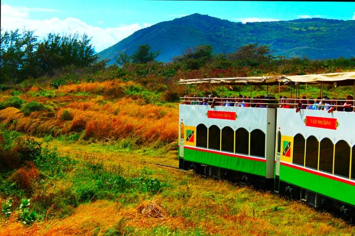 Visitors enjoy rides in double-decker train carriages with open-air top decks, allowing them to soak in the stunning scenery.